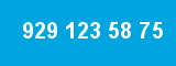 929 123 58 75